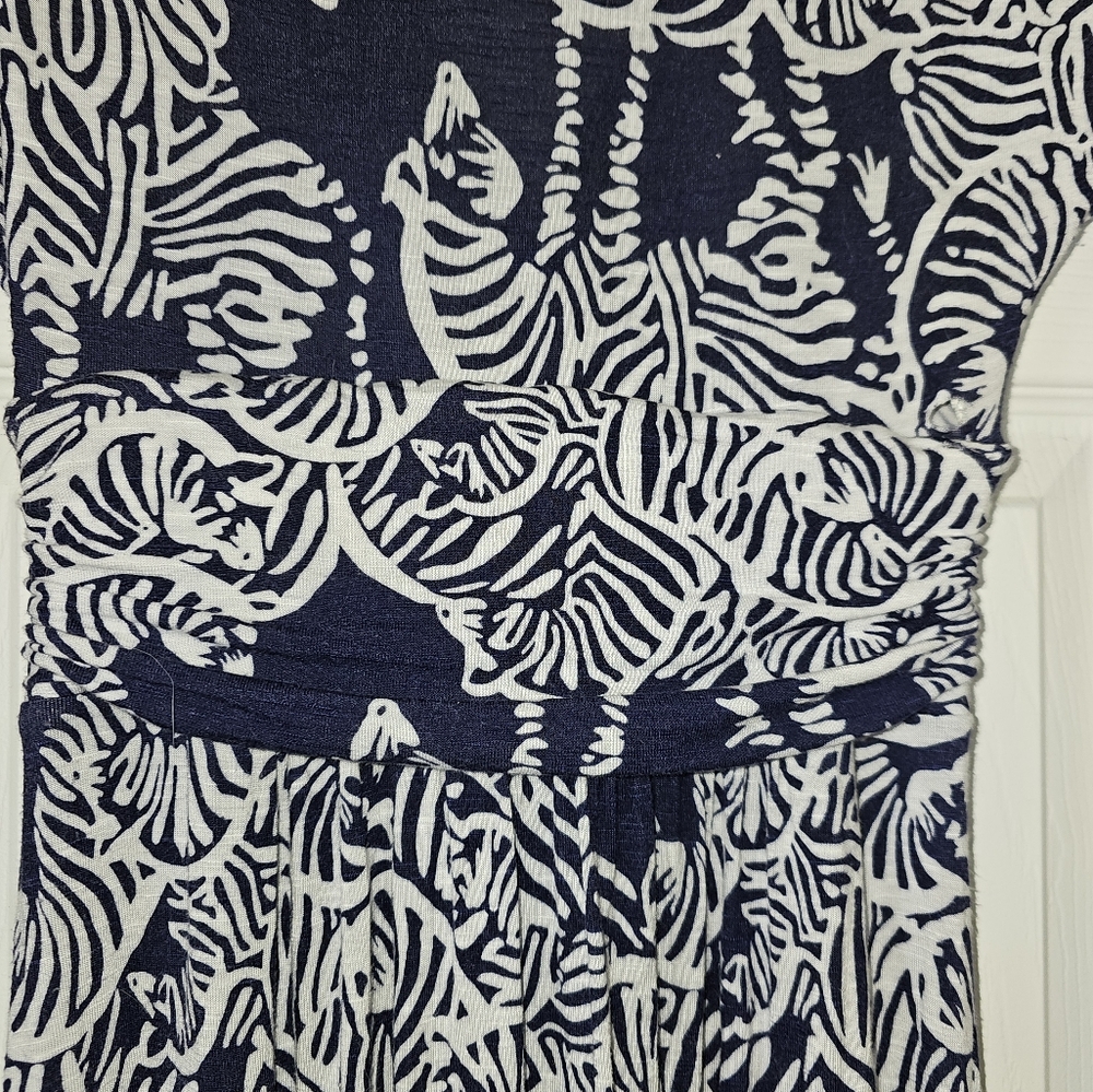 Lilly Pulitzer Maxi dress XS